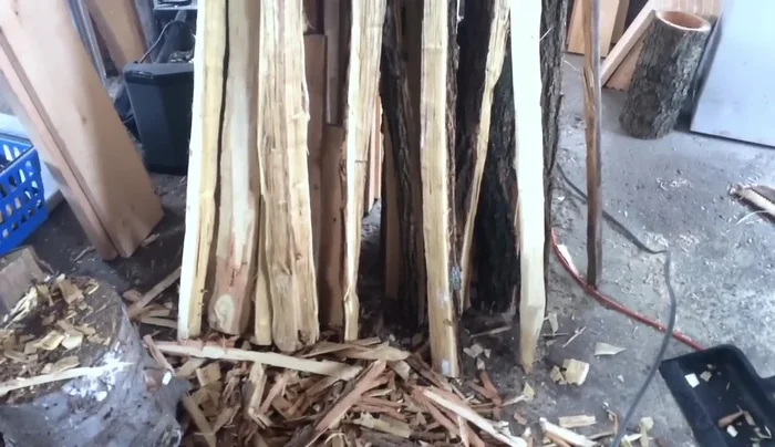 Fell the trees and transport them.