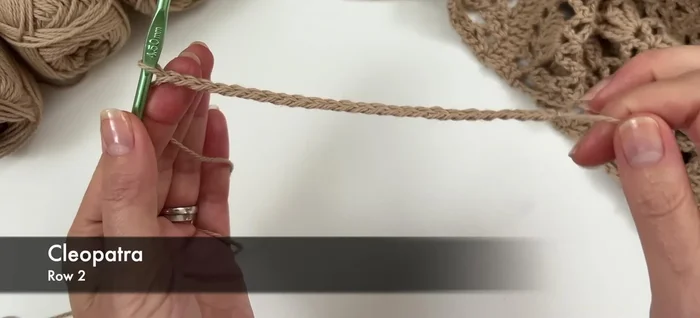 Row 2: Chain 1 (turning chain), double crochet in each chain across.