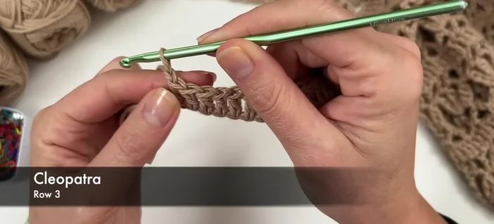 Row 3 (Loops and V's Row): Chain 1, double crochet in first stitch, (chain 1, double crochet) in same stitch. Chain 2, skip 2 stitches, single crochet in next stitch. Repeat chain 2, skip 2, (double crochet, chain 1, double crochet) in next stitch pattern across. End with chain 2, skip 2, (double crochet, chain 1, double crochet) in last stitch.