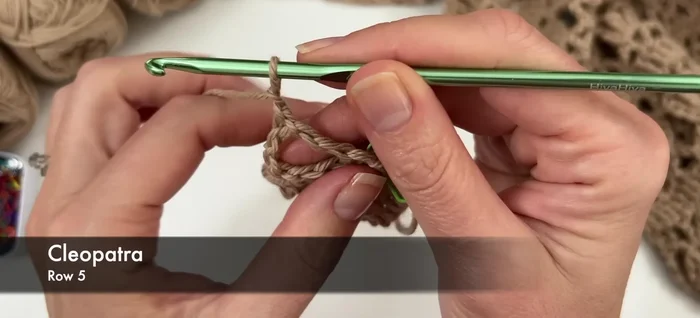 Row 5: Chain 1, turn. Double crochet in first stitch, double crochet around chain space, chain 1, double crochet between shells. Repeat chain 1, double crochet around chain space, chain 1, double crochet between shells across. End with double crochet in chain space, double crochet in last stitch.