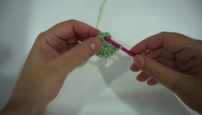 Join with a slip stitch to the top double crochet.