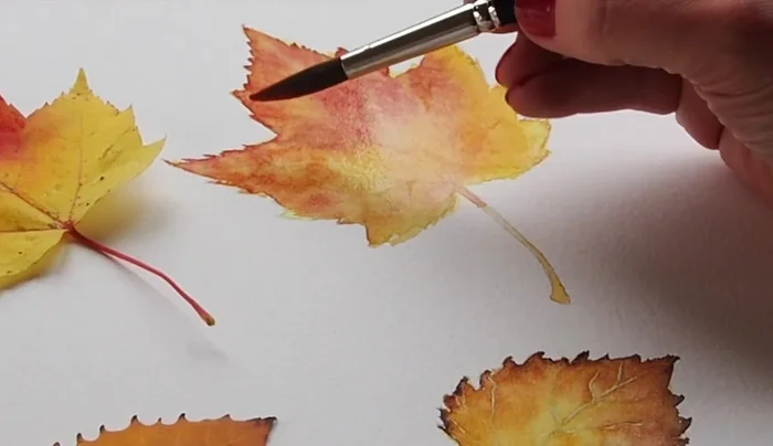 Apply more color once the masking fluid is completely dry, using Alizarin crimson and Permanent red.