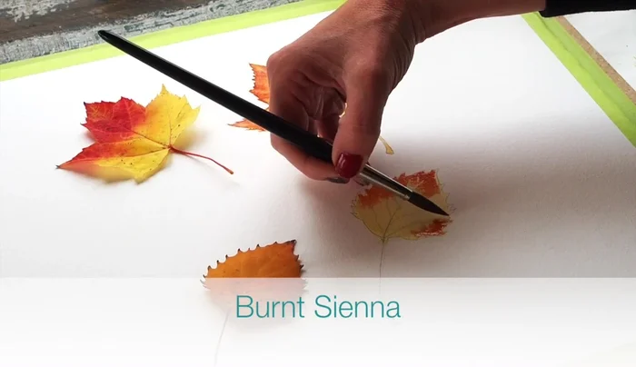 Add Burnt Umber violet mixture, letting it flow naturally.