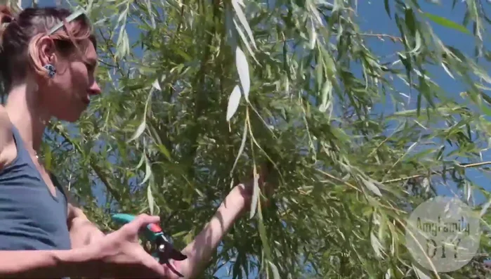 Wooden Base: Purchase a pre-made wooden base from a craft store.