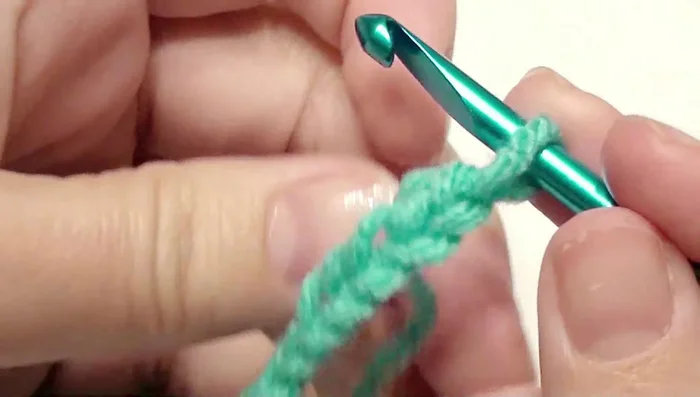 Double crochet in the next eight chains.