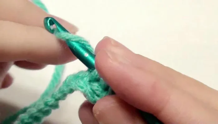 Double crochet in the next eight chains.