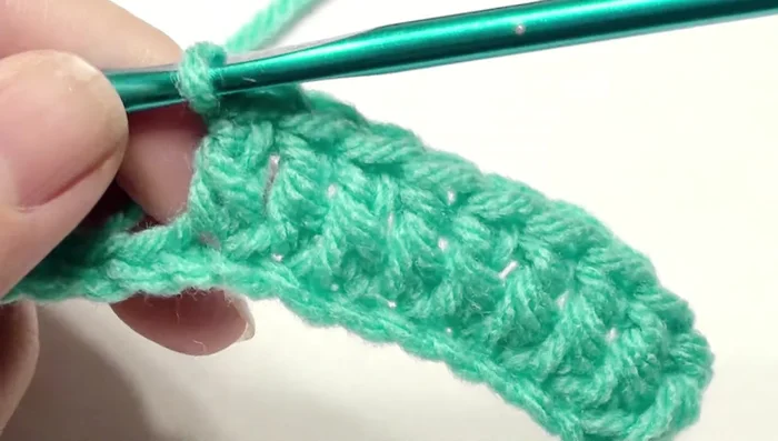 Work three double crochet in the next chain. Repeat this pattern (three double crochet, nine double crochet, skip two, nine double crochet) back and forth until the end.