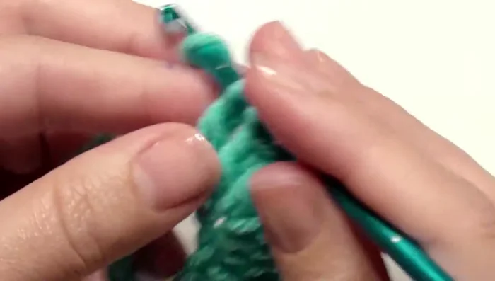 Work three double crochet in the next chain. Repeat this pattern (three double crochet, nine double crochet, skip two, nine double crochet) back and forth until the end.
