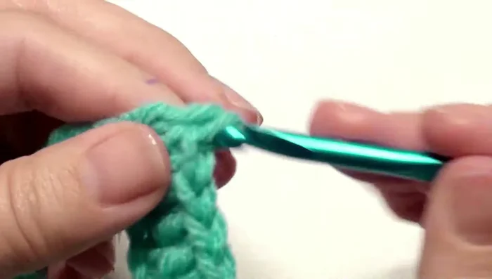 Work three double crochet in the next chain. Repeat this pattern (three double crochet, nine double crochet, skip two, nine double crochet) back and forth until the end.