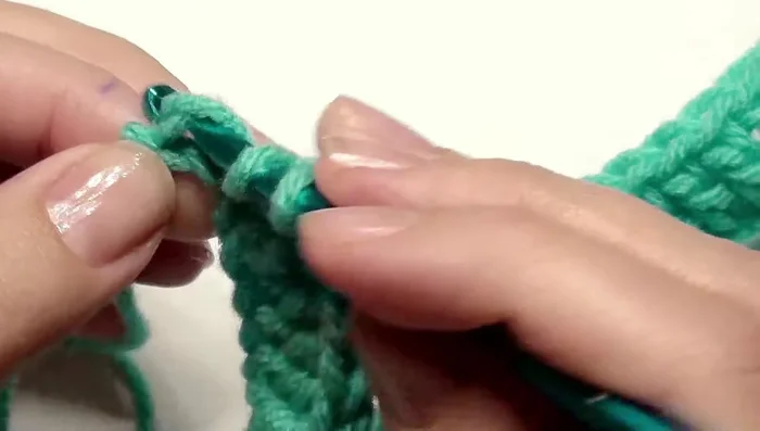 Double crochet in the last chain, chain 1, turn your work.
