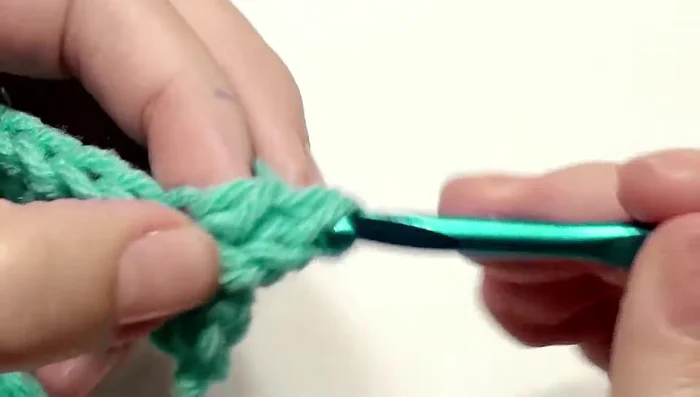 Skip two stitches and work a double crochet in the next nine back loops.