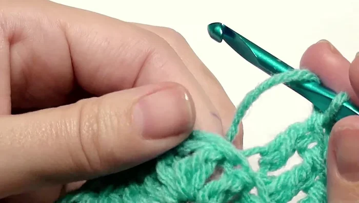 Skip two stitches and work a double crochet in the next nine back loops.