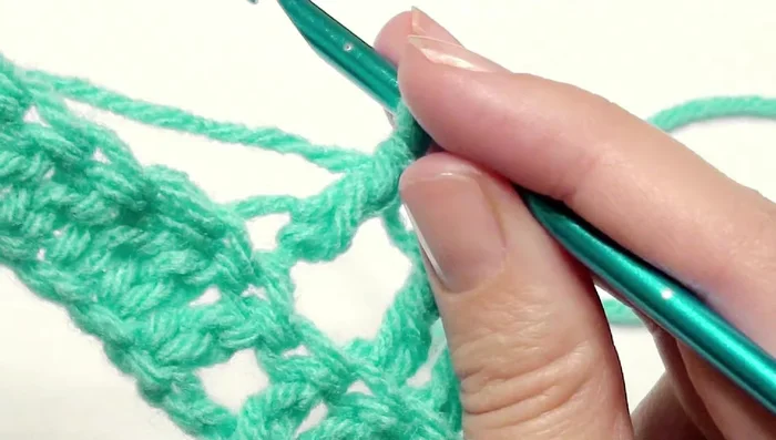 Skip two stitches and work a double crochet in the next nine back loops.