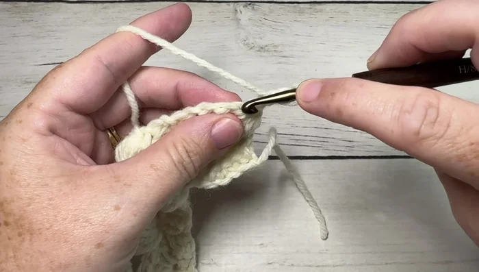 Row 4: 3 double crochets into the first stitch (including the chain 3), skip the next chain 3 space, single crochet into the next stitch. Repeat 7 double crochets into the next chain 2 space, skip the next chain 3, single crochet into the next stitch across. Chain 1 and turn.