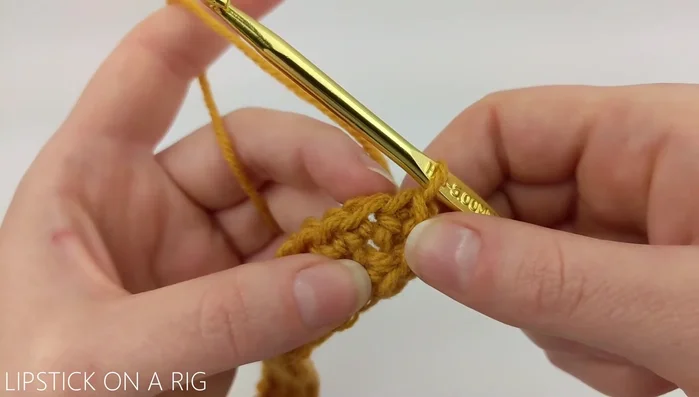 Begin the basket weave pattern: Skip the first three stitches, triple crochet in the next three stitches, then triple crochet in the three skipped stitches (working them in front of the previous three triple crochets). Repeat this pattern around the row (24 sections total).