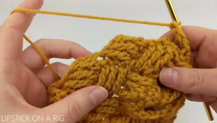 Repeat steps 4 and 5, alternating between working the skipped stitches in front (step 4) and behind (step 5) the triple crochets for a total of 21 rows.