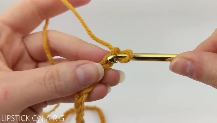 Turn your work, skip the first chain, and single crochet in the back loop only of each of the remaining 72 chains.