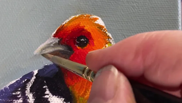 Block in the bird's colors, using impasto technique for texture.