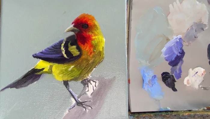 Block in the bird's colors, using impasto technique for texture.