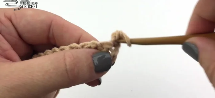 Chain one and turn. Work two single crochet into the first stitch, then single crochet into every stitch and chain-one space across, increasing by two single crochet in the last stitch.