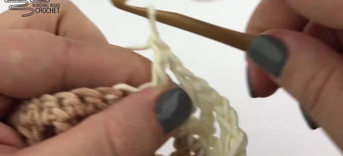 Finish with a solid single crochet row.