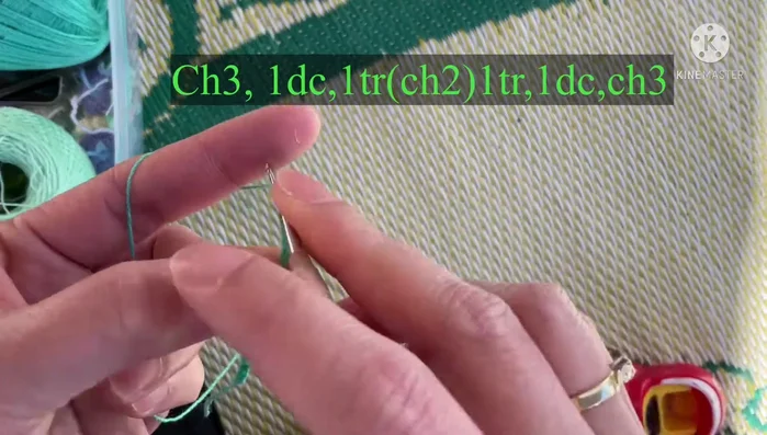 Work triple crochet, double crochet, and chains to form the flower petals