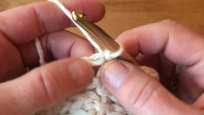 Rounds 8-23: Continue working half double crochets in the third loop of each stitch around. Adjust number of rounds for desired length.