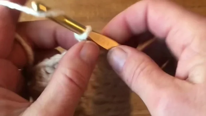 Round 24: Chain 2, double crochet in the third loop of each half double crochet from the previous round.