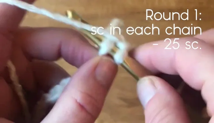 Single crochet around the chain. Join with a slip stitch in the first chain.