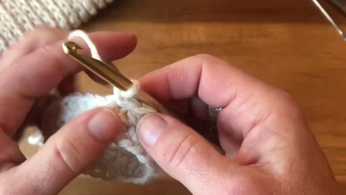 Rounds 3-6: Repeat round 2 (half double crochet in the third loop of each stitch). Add more rounds for longer mittens.