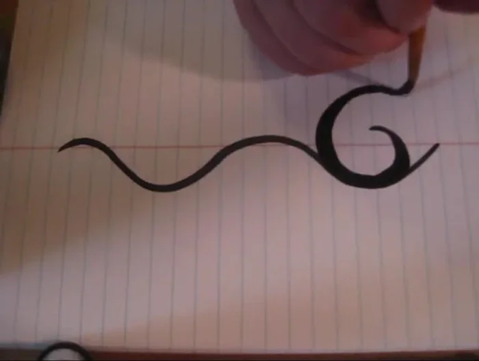 Repeat step 2, creating larger and smaller swoops around the initial points. This adds depth and variation to your design.