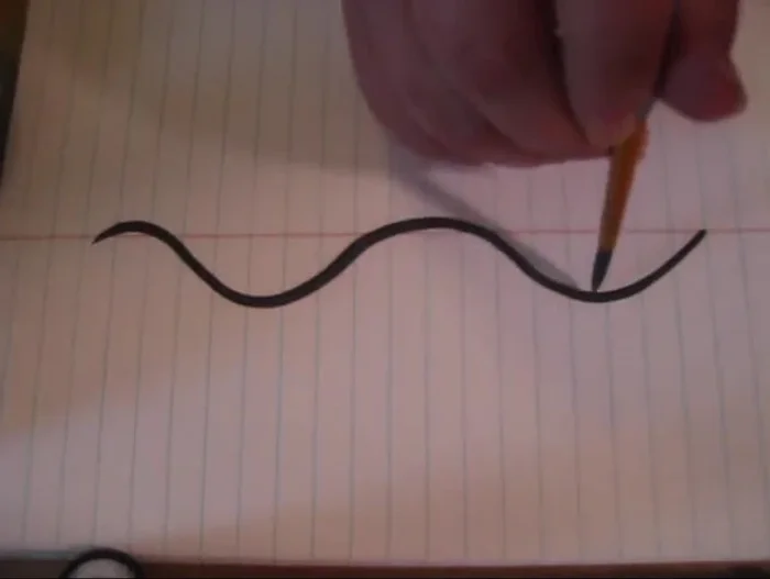 At each peak and valley of your basic shape, lay your brush down and create a swoop, forming points.