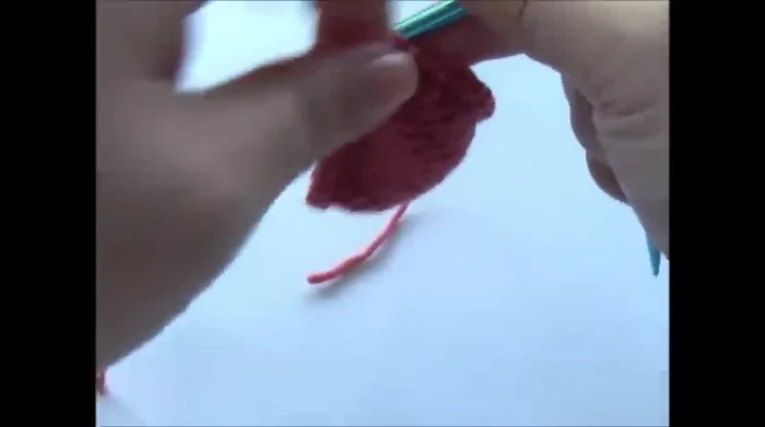 Row 19: Pearl all stitches. Bind off.