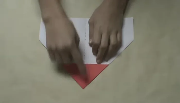 Repeat step 7 on the right side.