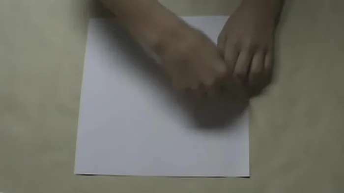 Fold the top edge to the bottom edge, crease, and unfold.