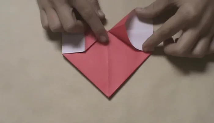 Repeat step 12 on the other side.