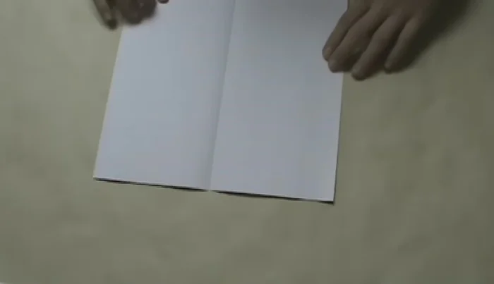 Fold the top edge to the bottom edge, crease, and unfold.