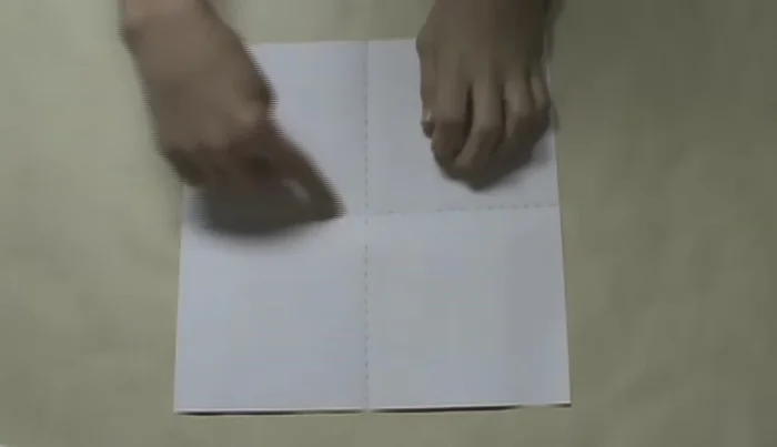 Fold the bottom edge to the horizontal crease, crease.