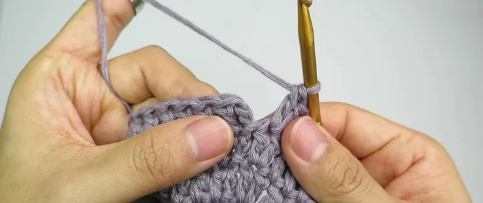 Single crochet in each stitch for 5 rounds to finish the bag body.