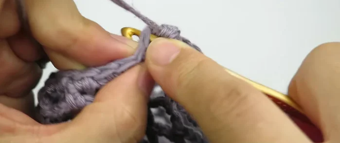 Single crochet in each stitch for 5 rounds to finish the bag body.