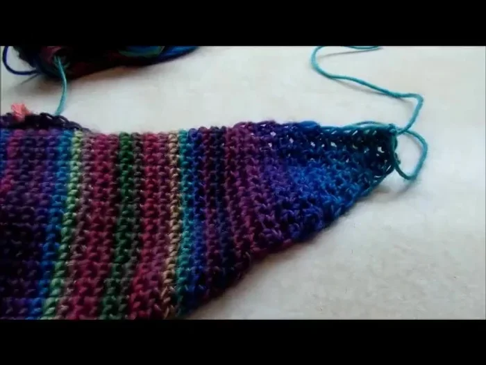 Repeat steps 10-12 for the second ear flap.