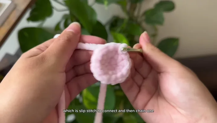 Slip stitch to connect and chain 1.