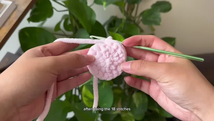 Slip stitch to connect and chain 1.