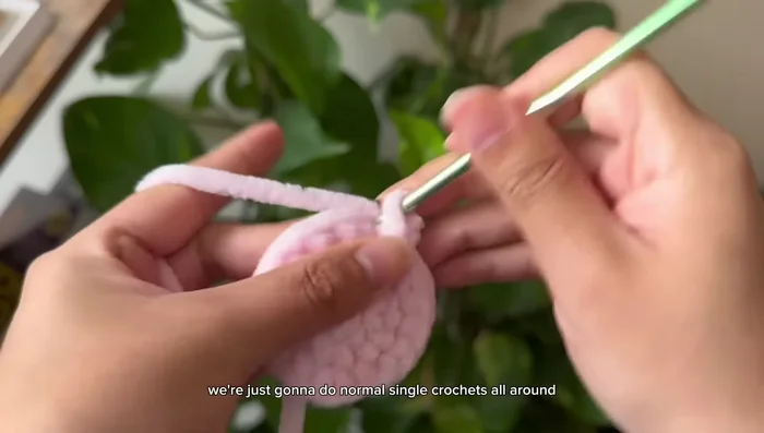 Slip stitch to connect and chain 1.