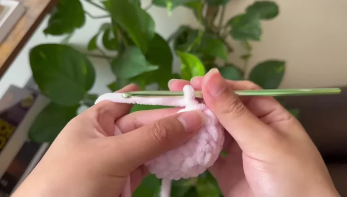 Slip stitch to connect and chain 1.