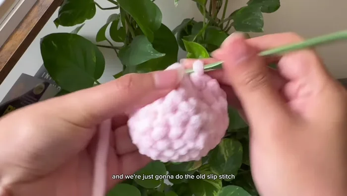 Slip stitch to connect and chain 1.