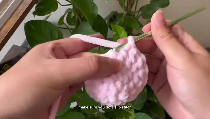 Slip stitch to connect and chain 1.