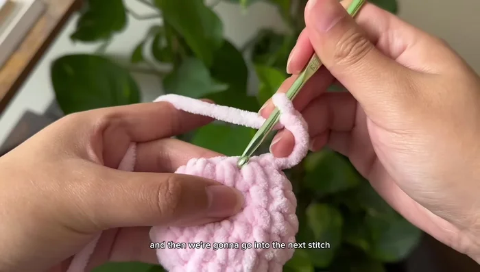 Chain 1, cut yarn, and fasten off.