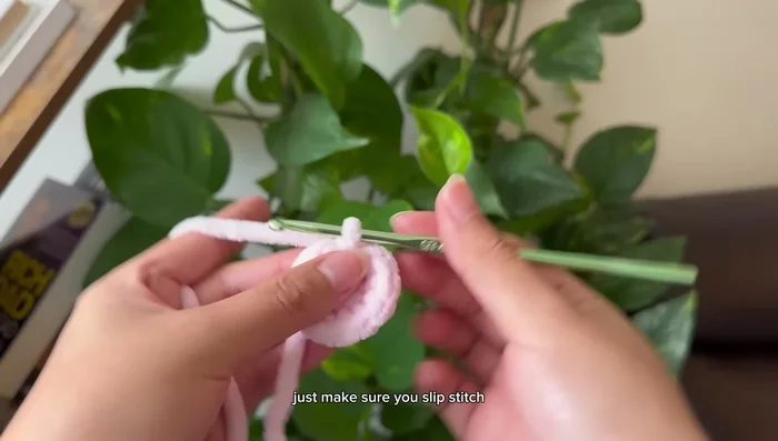 Slip stitch to connect, chain 1, cut yarn.