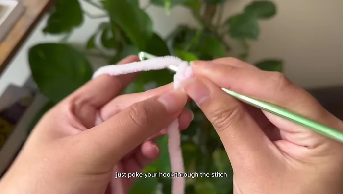 Slip stitch to connect and chain 1.